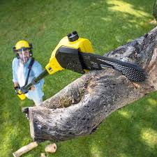 Best Lawn Irrigation Installation and Maintenance  in Huron, CA